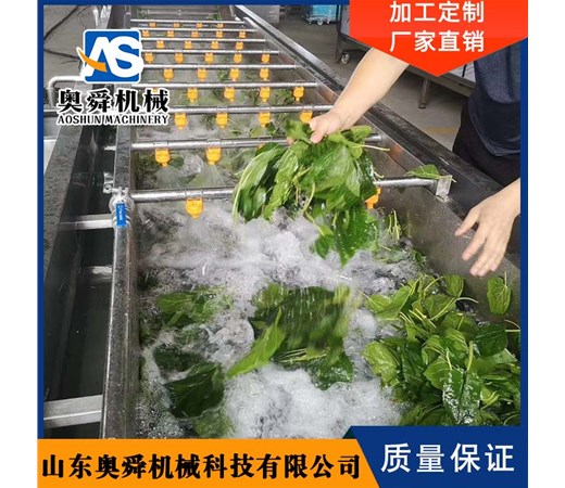 果蔬清洗流水线简介