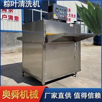  粽子加工设备 洗粽叶机 毛辊粽叶清洗机