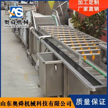 油菜清洗机 奥舜机械果蔬清洗设备 洗蔬菜机